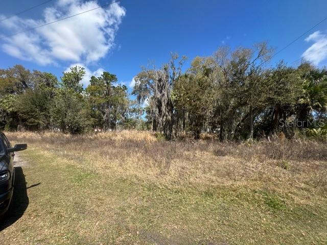Wallace Road New Smyrna Beach, FL 32168 - Photo 7 of 7