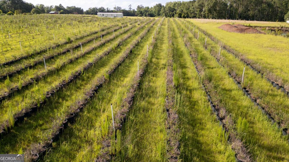 2 Penny Morris Road Baxley, GA 31513 - Photo 2 of 3