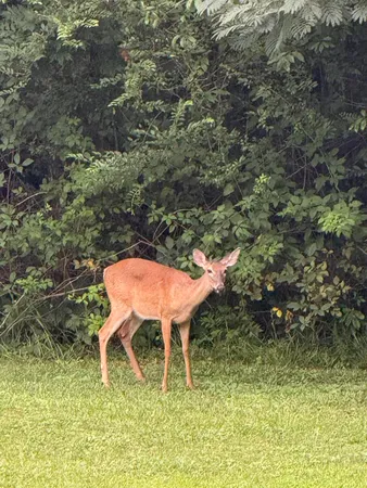 $899,900 | 426 Simmons Tawzer Road, Chickamauga, GA 30707