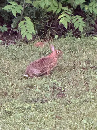 $899,900 | 426 Simmons Tawzer Road, Chickamauga, GA 30707