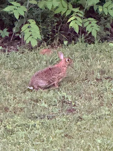 $995,000 | 426 Simmons Tawzer Road, Chickamauga, GA 30707