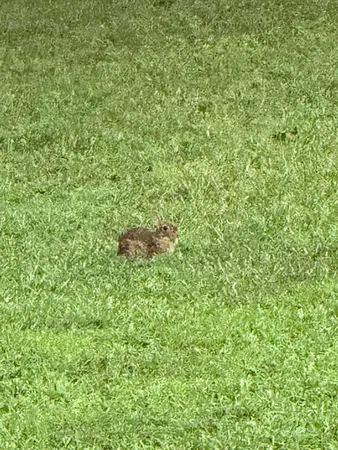 $899,900 | 426 Simmons Tawzer Road, Chickamauga, GA 30707