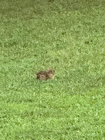 $995,000 | 426 Simmons Tawzer Road, Chickamauga, GA 30707