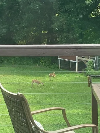 $899,900 | 426 Simmons Tawzer Road, Chickamauga, GA 30707