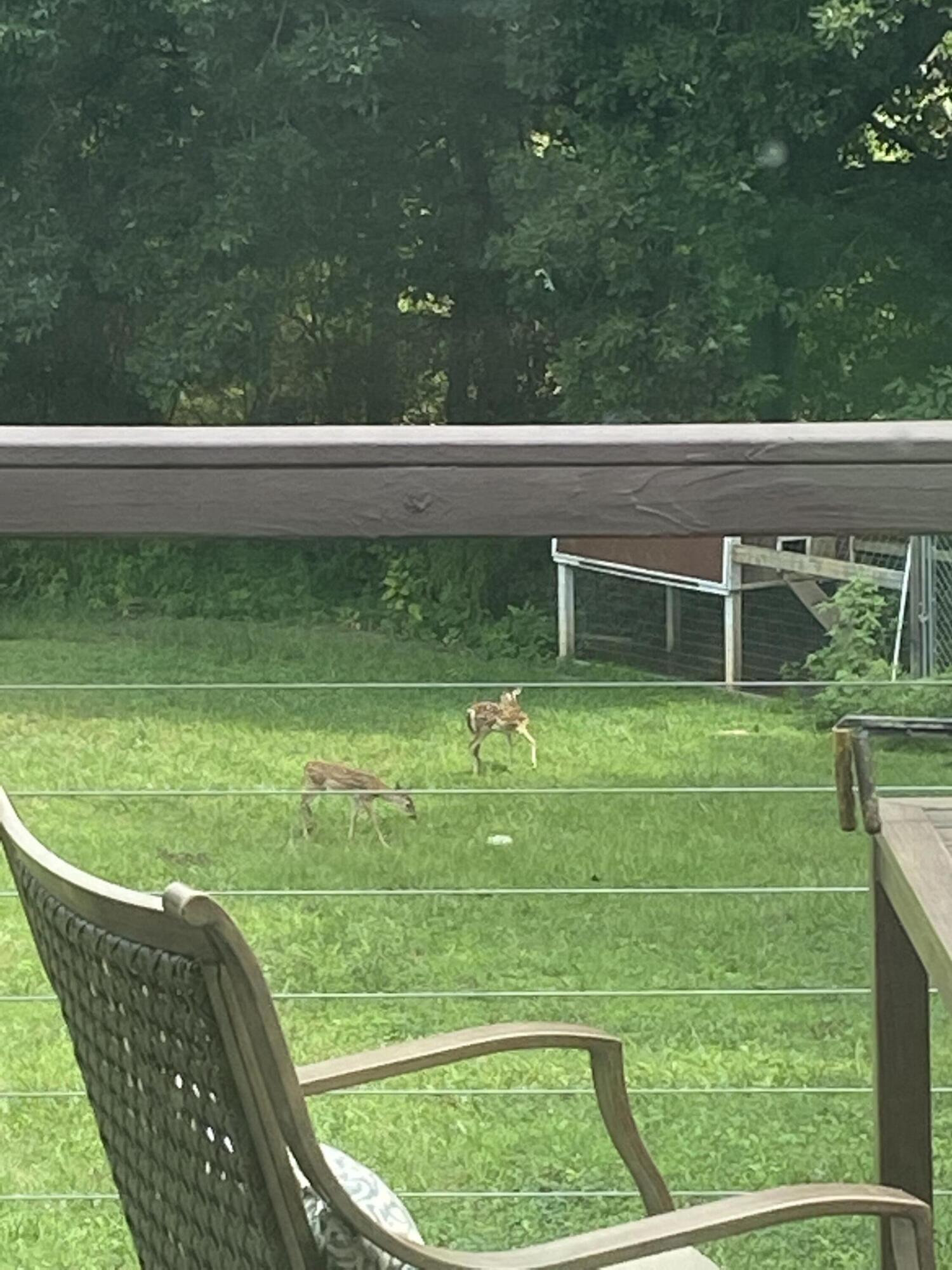 426 Simmons Tawzer Road Chickamauga, GA 30707 - Photo 77 of 78 5306E8BB-CB37-4BA6-BB83-26C23C6F0649