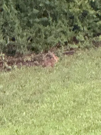 $899,900 | 426 Simmons Tawzer Road, Chickamauga, GA 30707