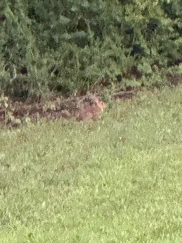 $995,000 | 426 Simmons Tawzer Road, Chickamauga, GA 30707