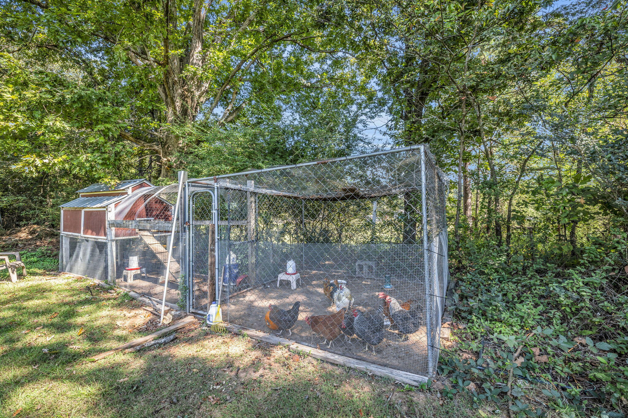 426 Simmons Tawzer Road Chickamauga, GA 30707 - Photo 8 of 78 8-web-or-mls-426-simmons-tawzer-rd