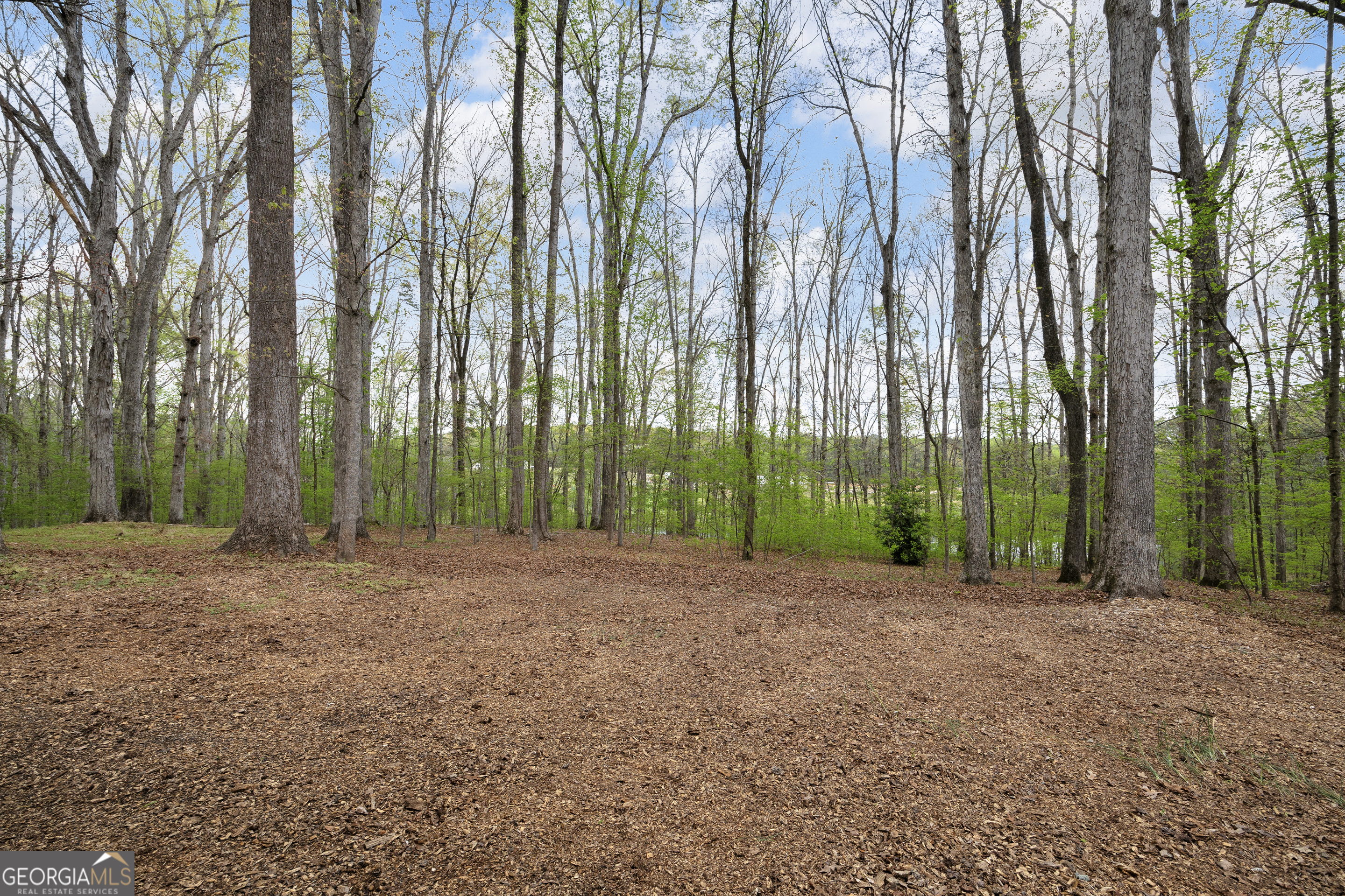 1805 Morton Road Athens, GA 30605 - Photo 71 of 75