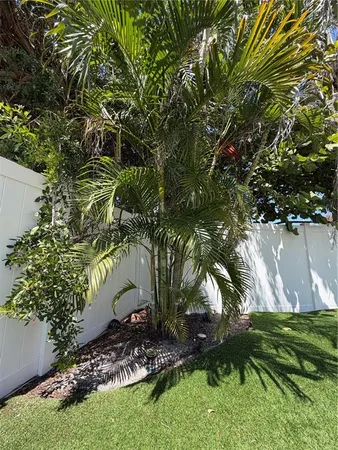 $3,500 | 3500 Overlook Drive Northeast, St. Petersburg, FL 33703