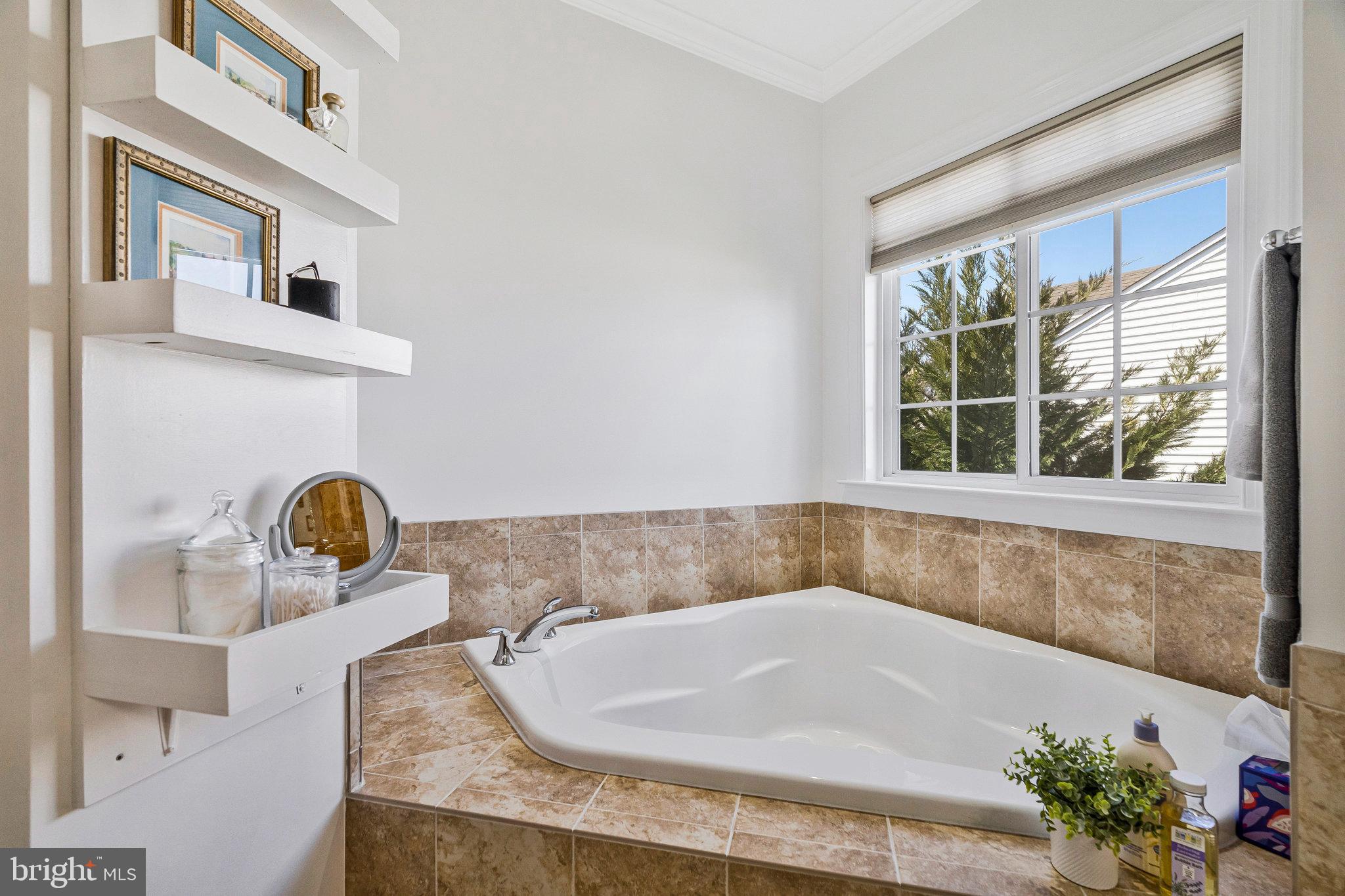 41008 Indigo Place Leesburg, VA 20175 - Photo 26 of 59 Soaking tub