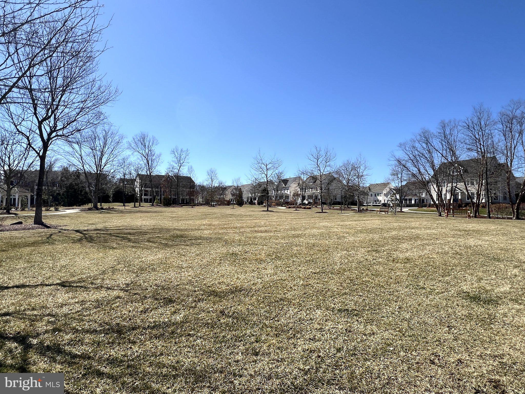 41008 Indigo Place Leesburg, VA 20175 - Photo 57 of 59 a view of yard covered with snow