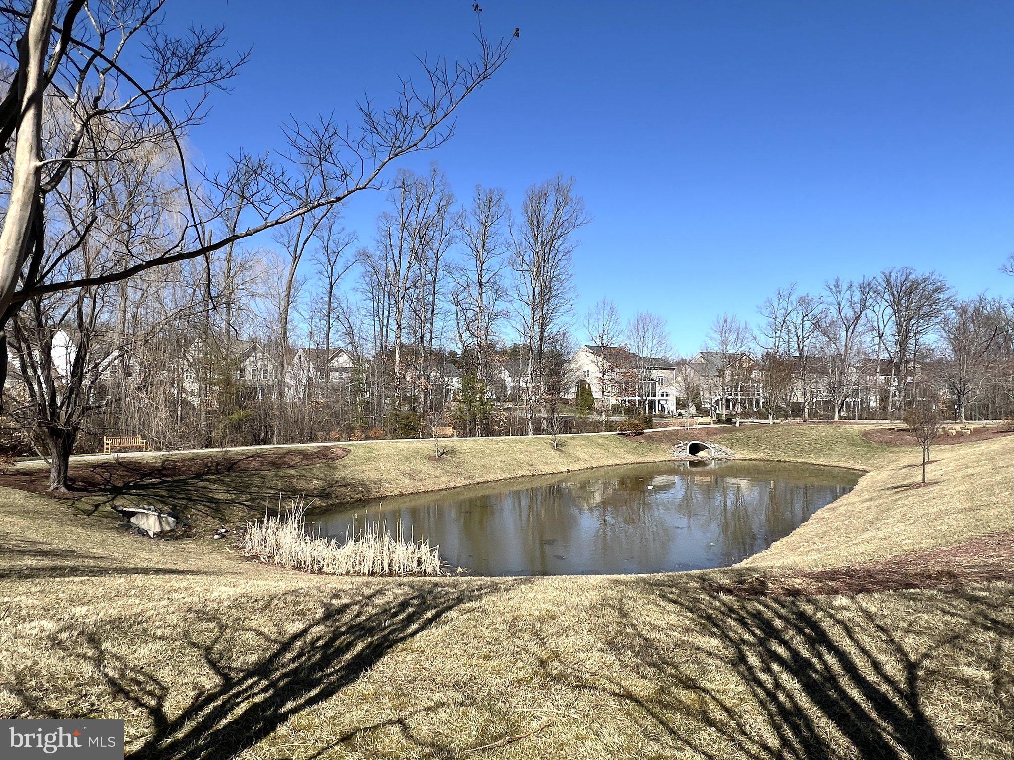 41008 Indigo Place Leesburg, VA 20175 - Photo 58 of 59 a view of a swimming pool with a yard
