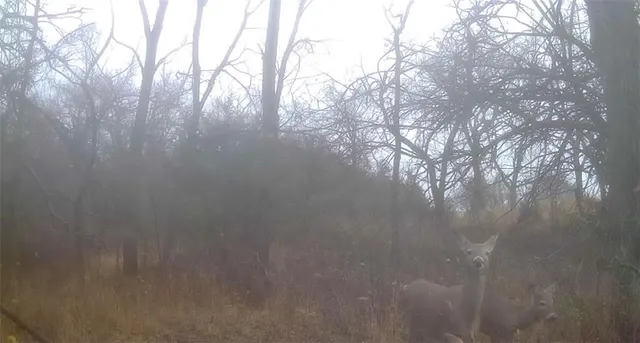 $270,000 | 950 A Delaware Terrace, Williamsburg, KS 66095