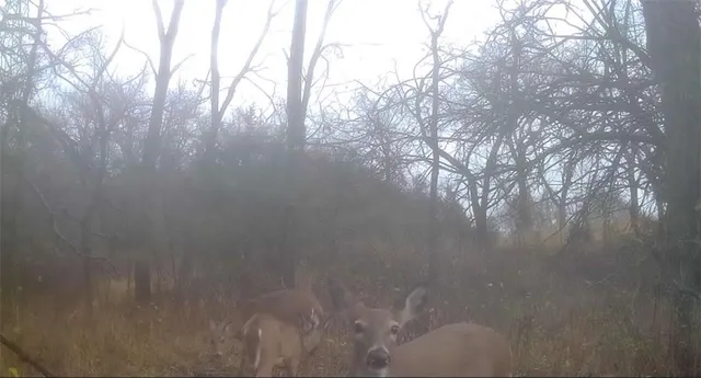 $270,000 | 950 A Delaware Terrace, Williamsburg, KS 66095