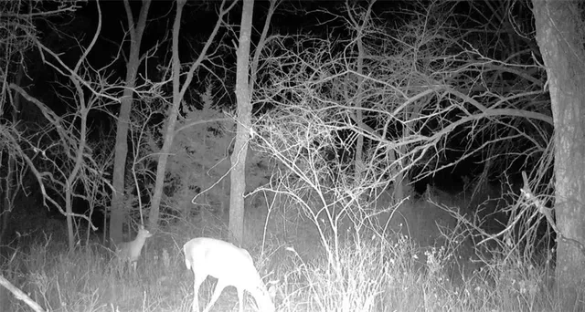 $270,000 | 950 A Delaware Terrace, Williamsburg, KS 66095