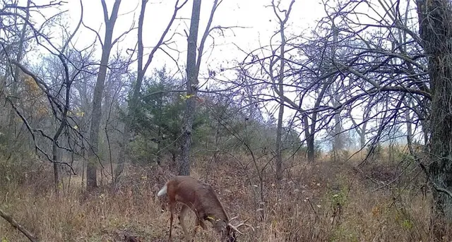 $270,000 | 950 A Delaware Terrace, Williamsburg, KS 66095