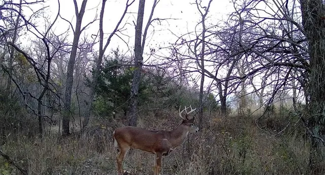 $270,000 | 950 A Delaware Terrace, Williamsburg, KS 66095