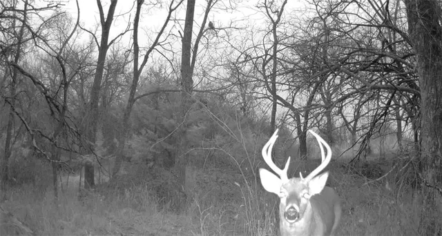 $270,000 | 950 A Delaware Terrace, Williamsburg, KS 66095