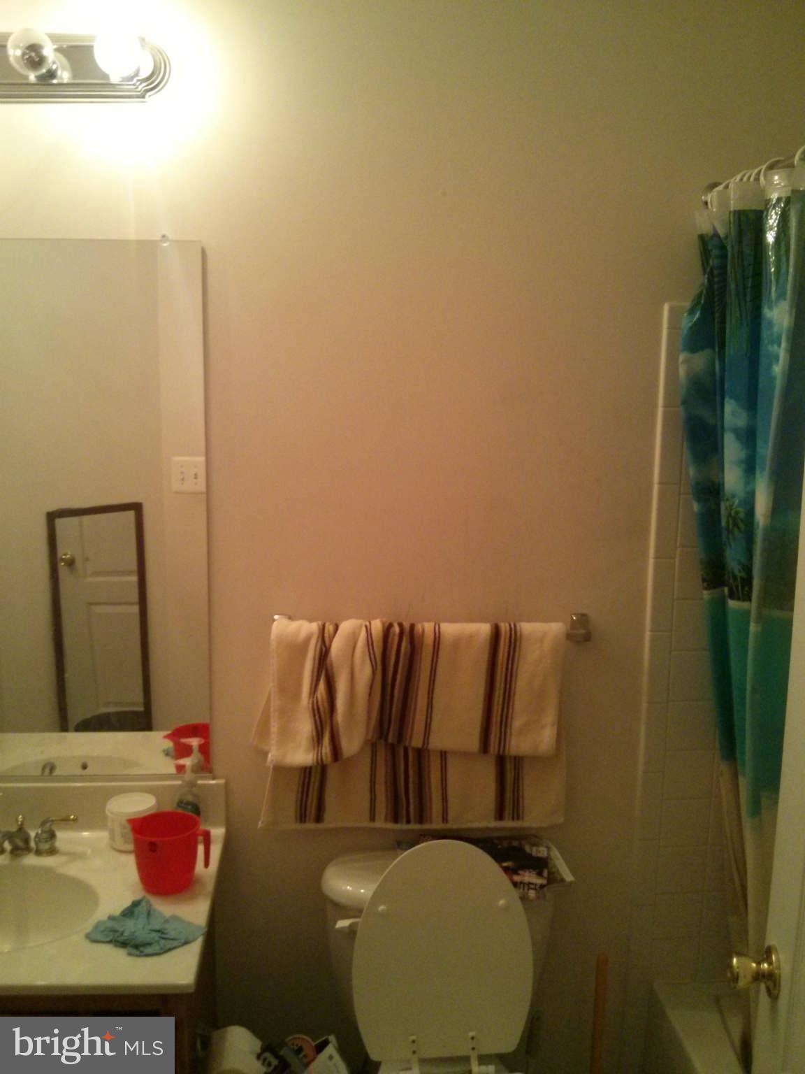3324 Castle Ridge Circle, Unit 12 Silver Spring, MD 20904 - Photo 10 of 17 Bath (Master)
