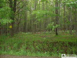 State Line Road Clymer, NY 14724 - Photo 1 of 1 Gallery Image 1