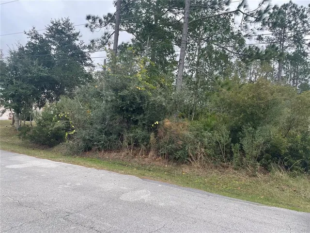 a view of a yard with a trees