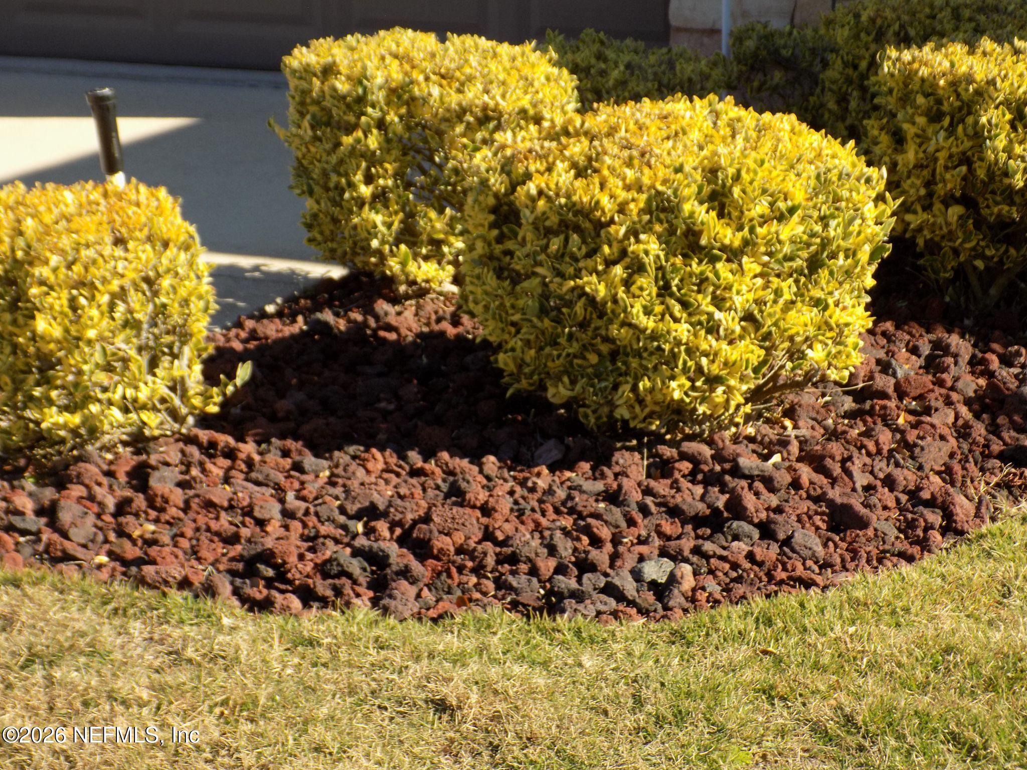 144 Goldenrod Park Road Ponte Vedra, FL 32081 - Photo 5 of 40 a view of a bunch of flowers and trees