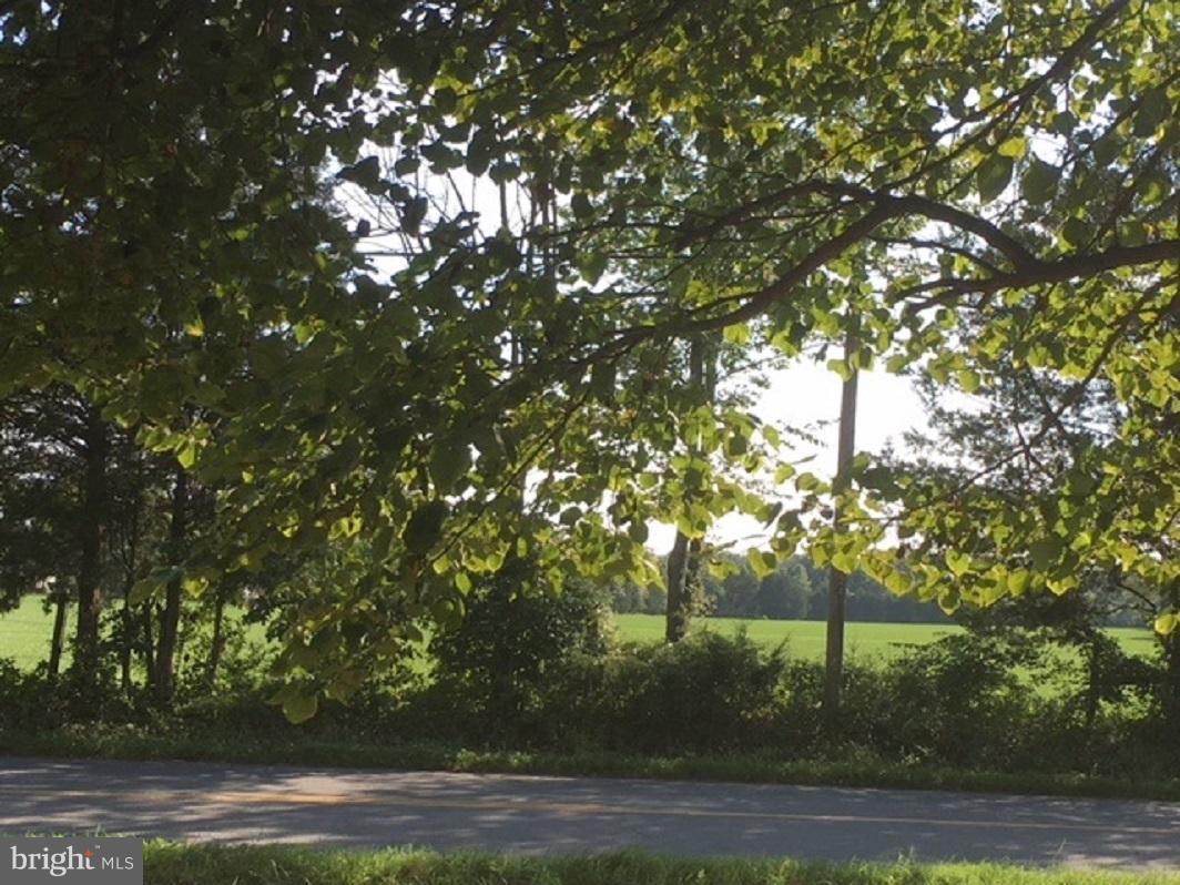 7472 Sumerduck Road Remington, VA 22734 - Photo 11 of 15 View