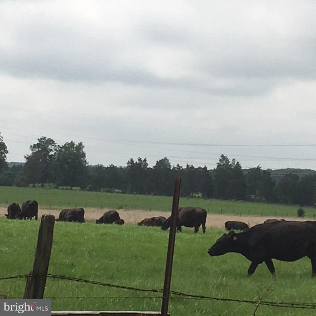 7472 Sumerduck Road Remington, VA 22734 - Photo 14 of 15 View