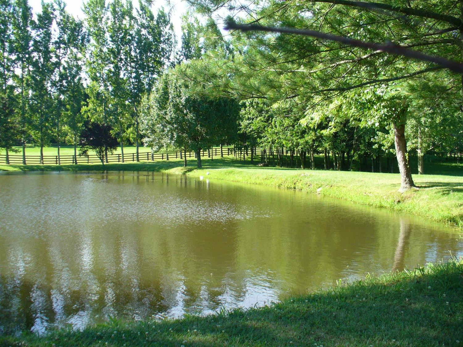 3943 Briar Hill Road Lexington, KY 40516 - Photo 13 of 73 Photo 13