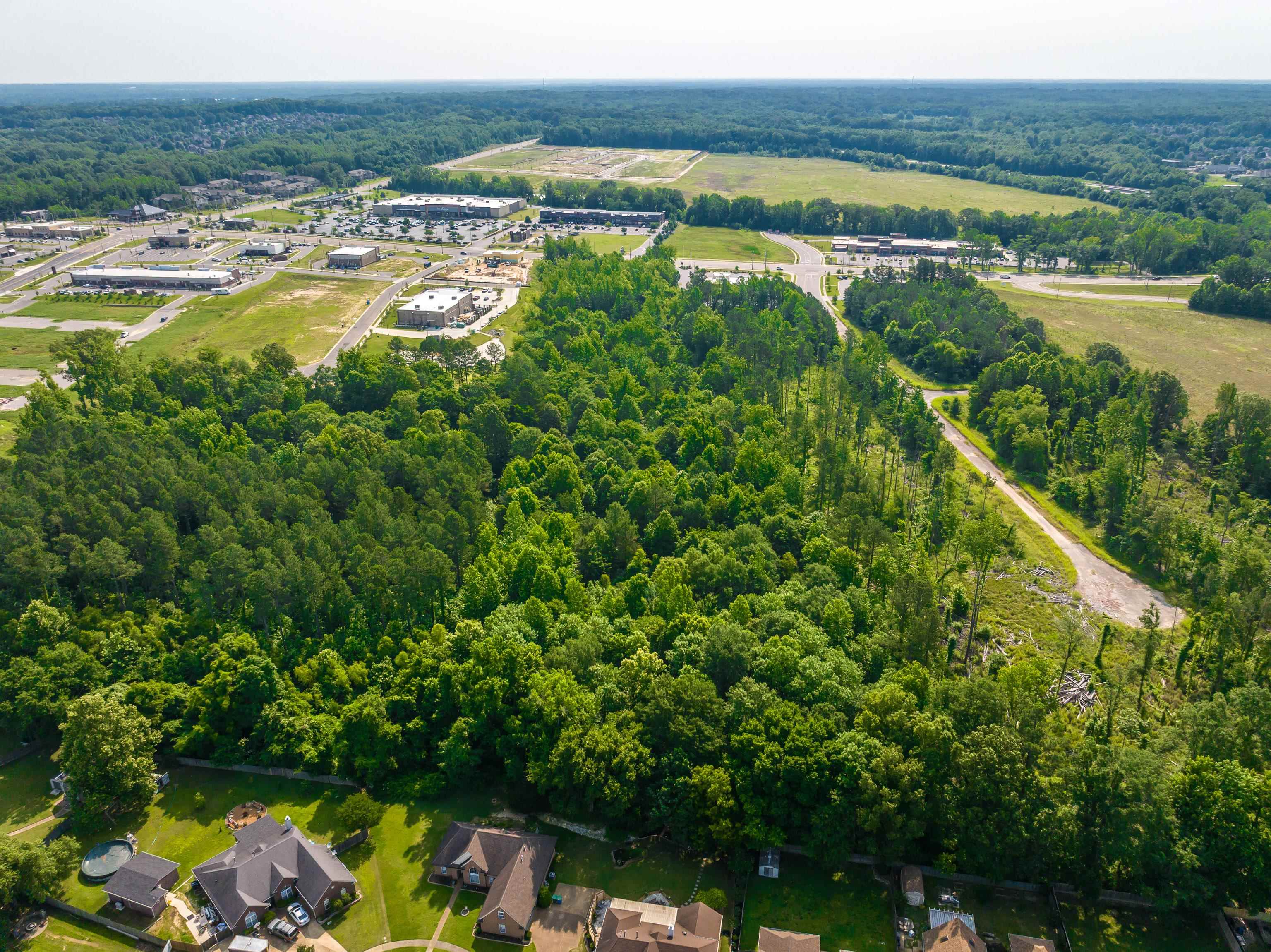 0 Airline Road Arlington, TN 38002 - Photo 17 of 19 a view of a lake with a mountain