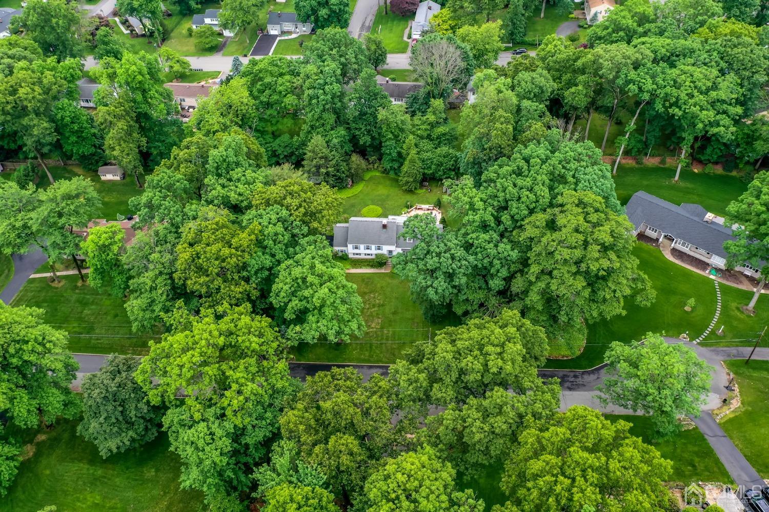 13 Windsor Road Morris Plains, NJ 07950 - Photo 46 of 56 Gallery Image 46