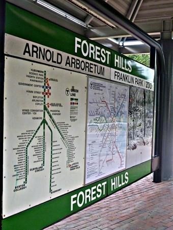 57 Wachusett Street, Unit 2 Boston, MA 02130 - Photo 23 of 23