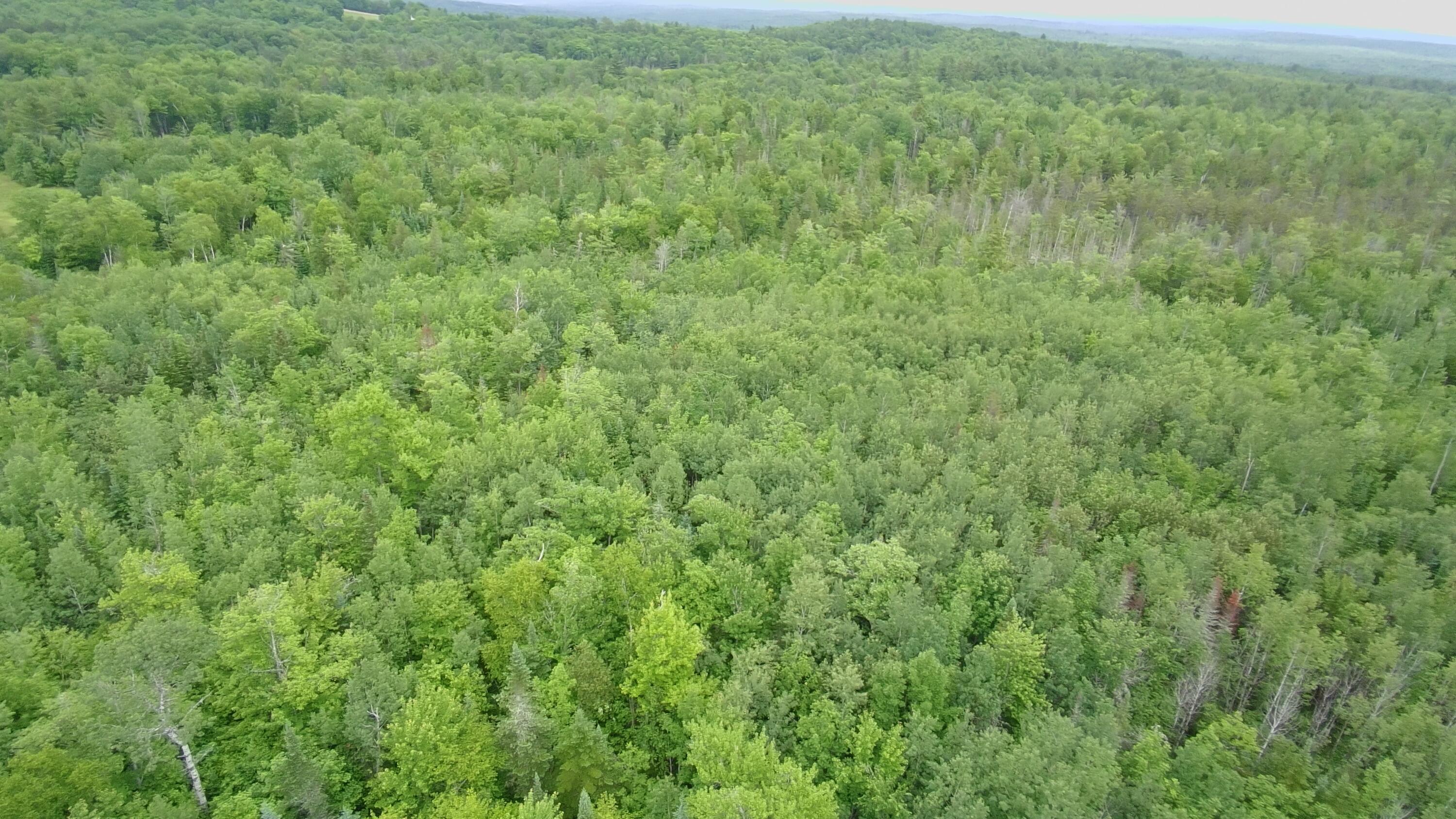 Tbd Trafton Road Parkman, ME 04443 - Photo 17 of 27 4280708_101DRONE_SING0150