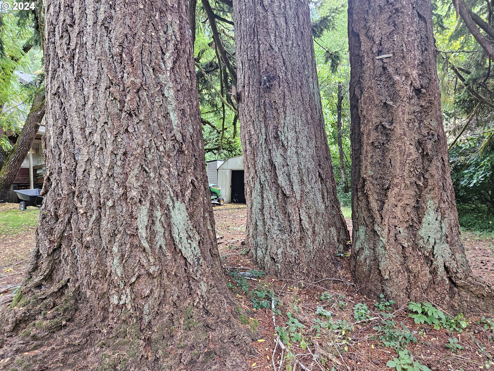 20812 Blodgett Road Blodgett, OR 97326 - Photo 11 of 31 Gallery Image 11