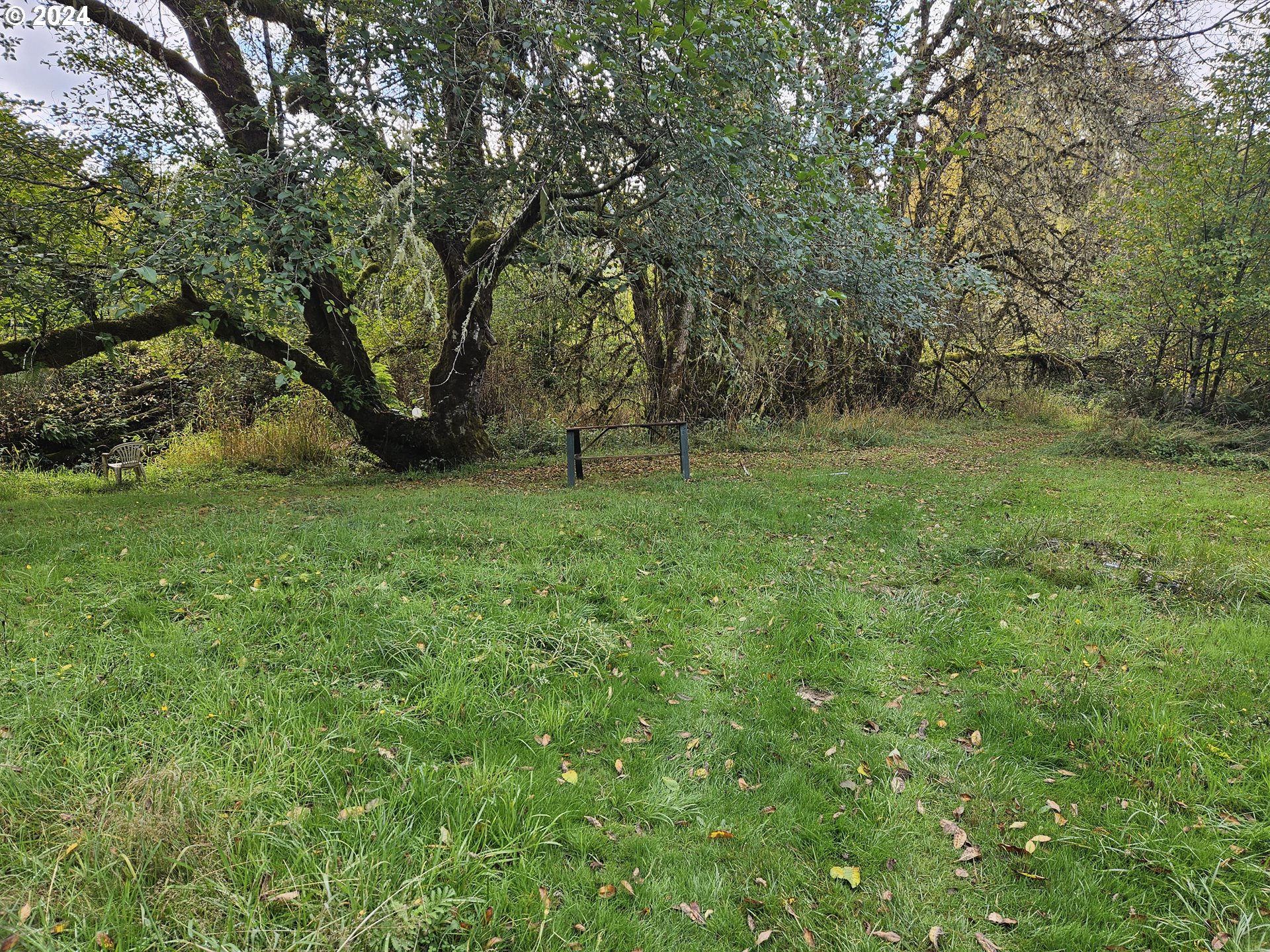 20812 Blodgett Road Blodgett, OR 97326 - Photo 15 of 31 Gallery Image 15
