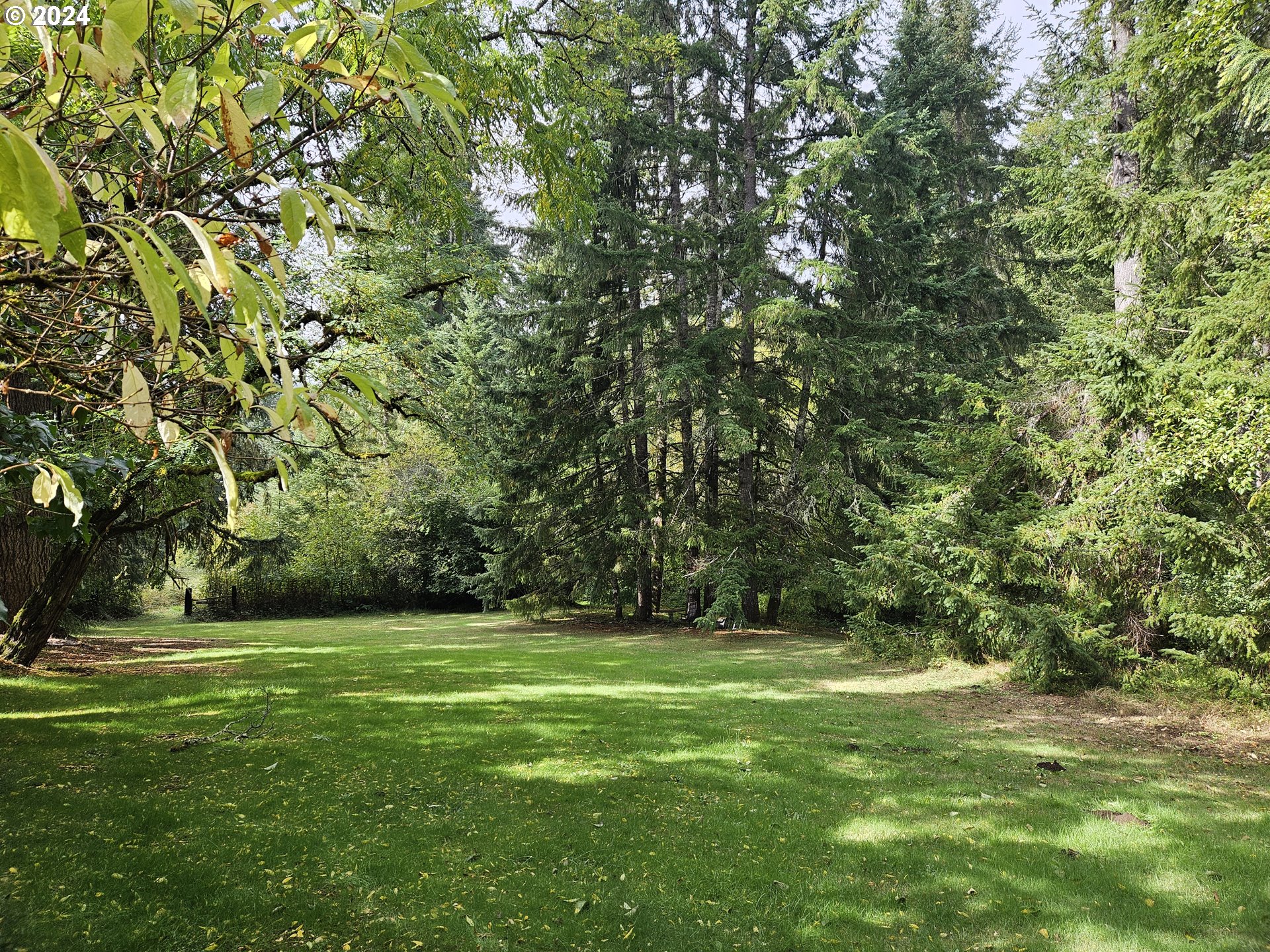 20812 Blodgett Road Blodgett, OR 97326 - Photo 3 of 31 Gallery Image 3