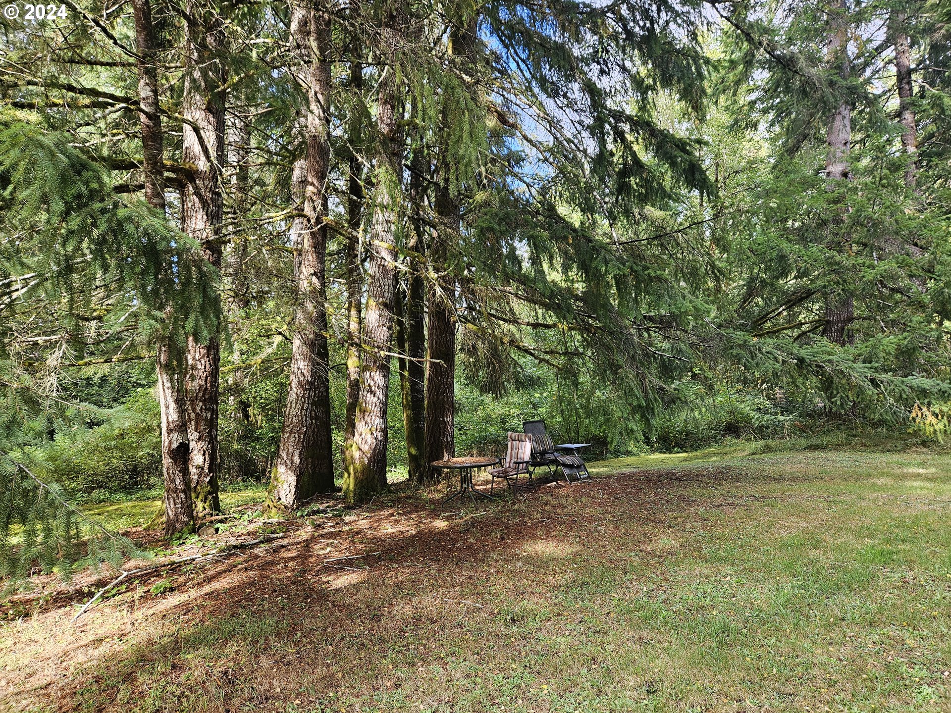 20812 Blodgett Road Blodgett, OR 97326 - Photo 6 of 31 Gallery Image 6