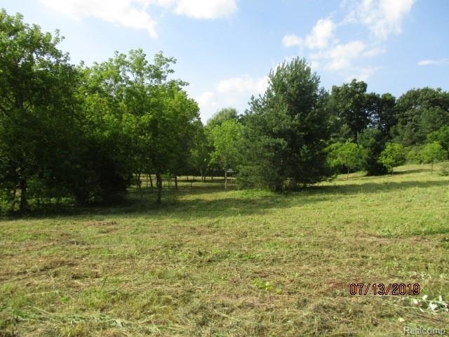 0 Tipsico Lake Road Fenton, MI 48430 - Photo 1 of 6
