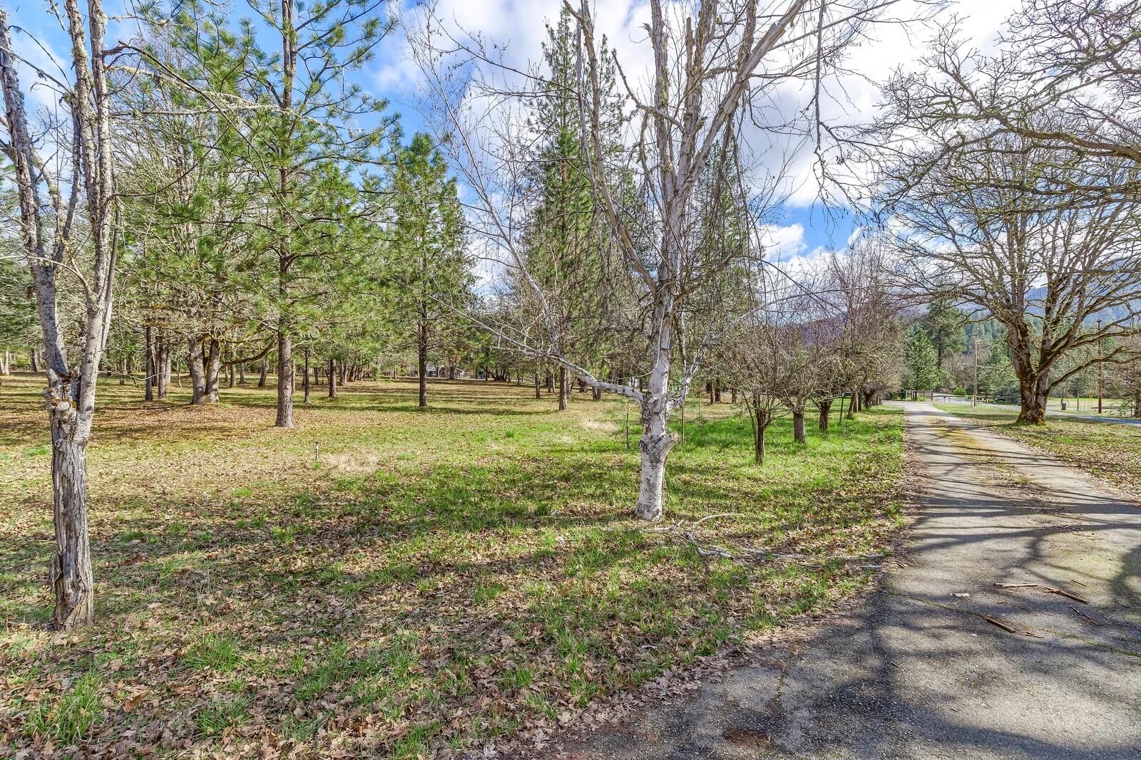 2021 Pine Grove Road Rogue River, OR 97537 - Photo 46 of 50 12_PGR_12_mls