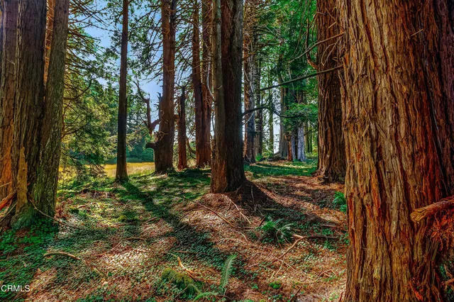 a view of a lake view