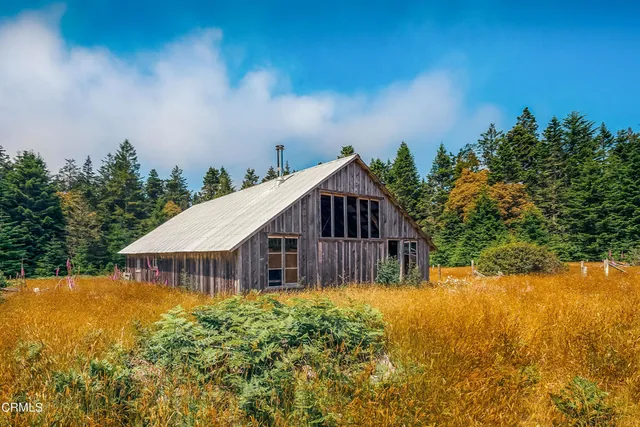 a view of outdoor space and yard