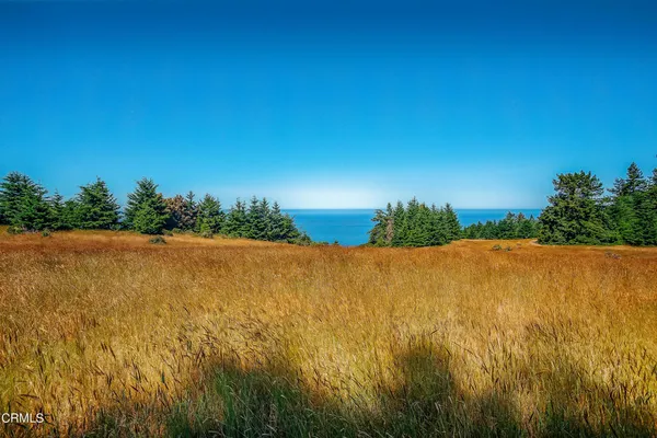 a view of an ocean and beach