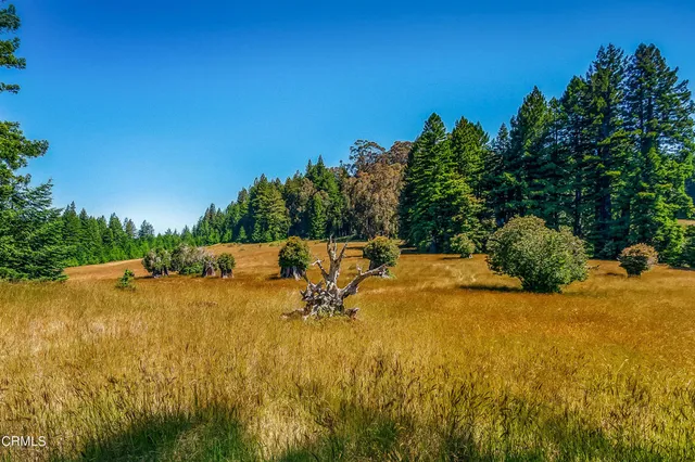 a view of a backyard of a house
