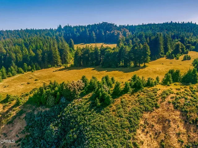 a view of a yard with an ocean view