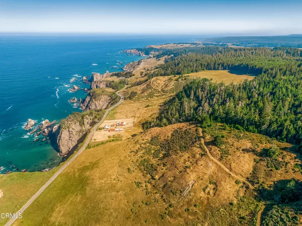 a view of a big yard with large trees