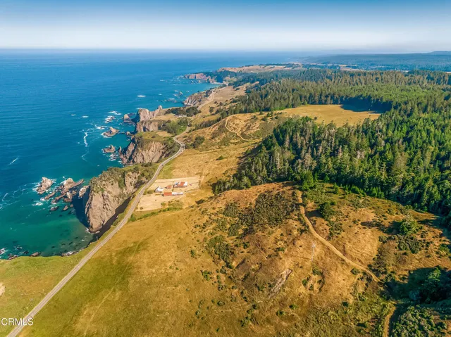 a view of a big yard with large trees