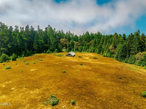 a view of a small house with a yard
