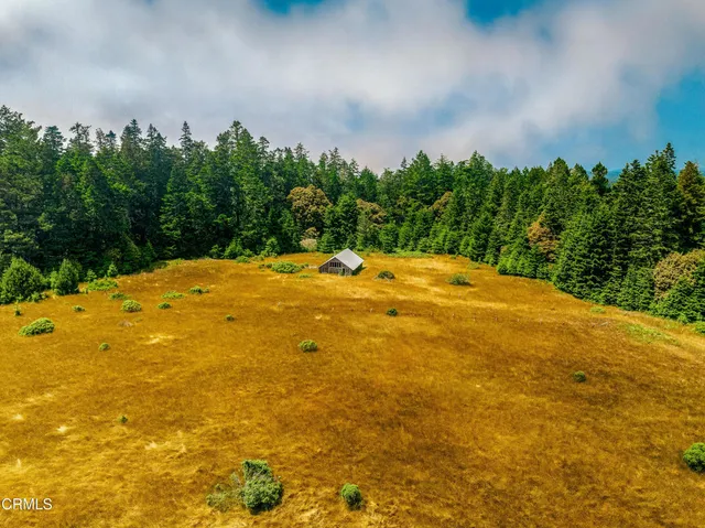 a view of a small house with a yard