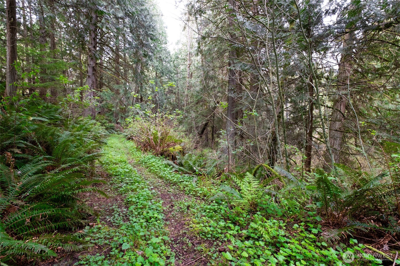 23655 Bulson Road Mount Vernon, WA 98274 - Photo 39 of 40 Gallery Image 39